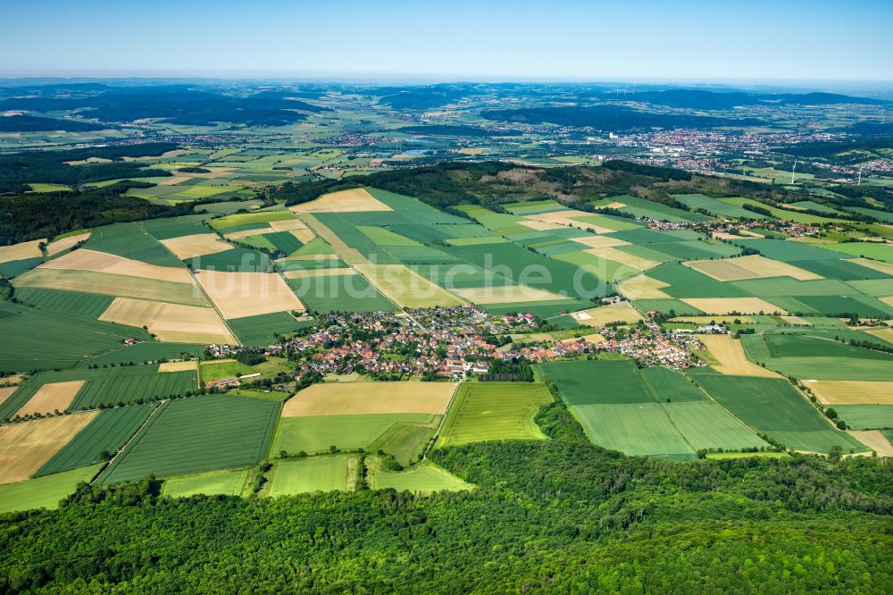 Luftaufnahme Bisperode - Dorfkern am Feldrand in Bisperode im Bundesland Niedersachsen, Deutschland